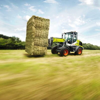 TORION 738 T SINUS